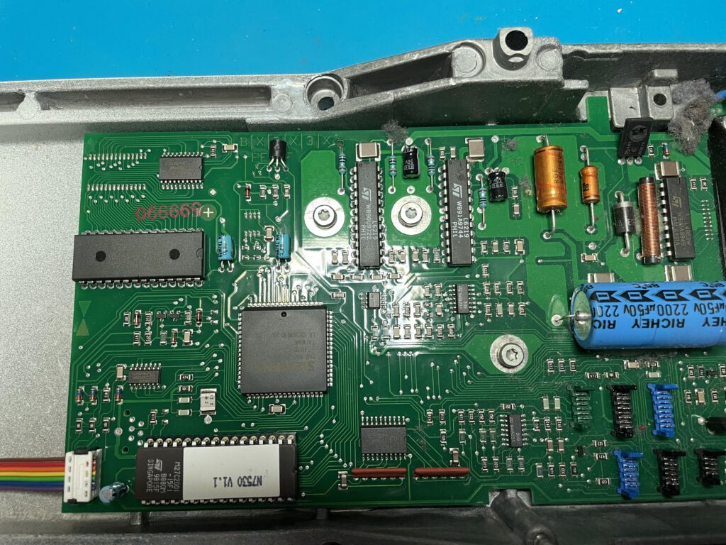 Platine, Wollstaubmaus